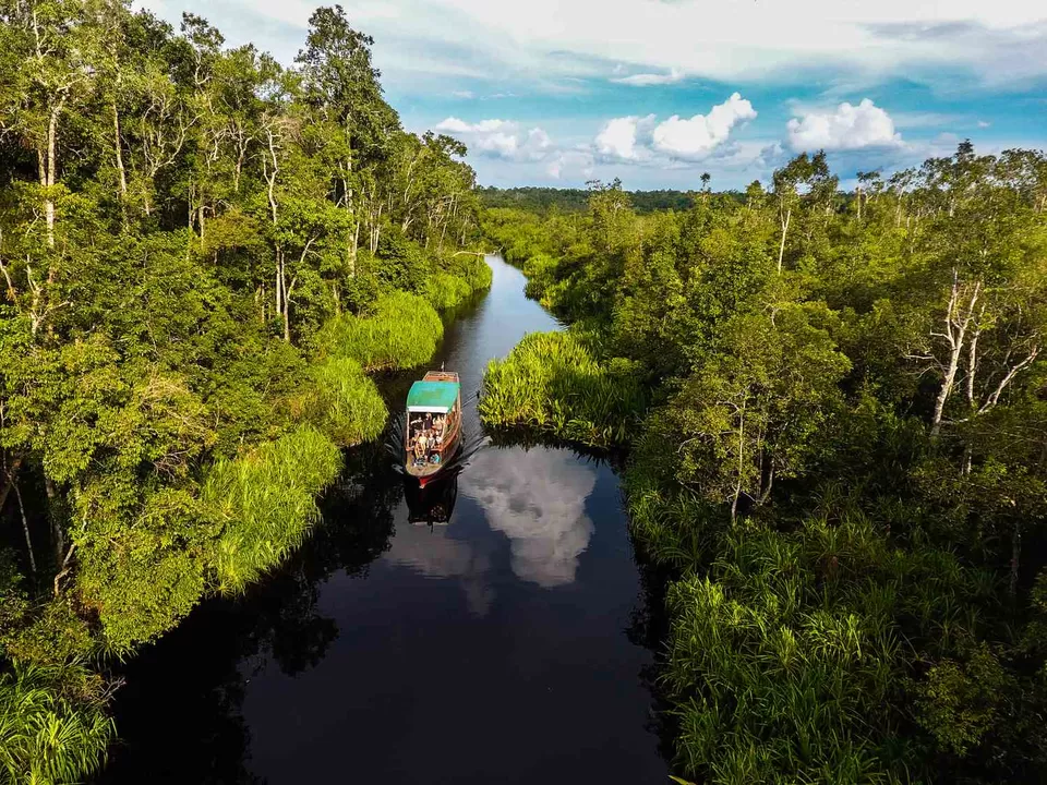Photo of Ditch Africa for This Gorgeous South Asian Destination for a Perfect Wildlife Vacay by Riyanka Roy