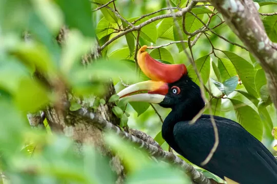 Photo of Ditch Africa for This Gorgeous South Asian Destination for a Perfect Wildlife Vacay by Riyanka Roy