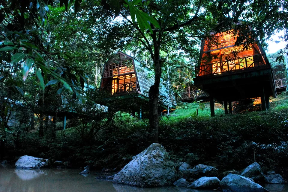 Photo of Ditch Africa for This Gorgeous South Asian Destination for a Perfect Wildlife Vacay by Riyanka Roy