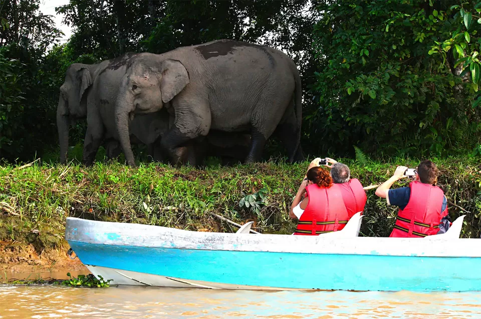 Photo of Ditch Africa for This Gorgeous South Asian Destination for a Perfect Wildlife Vacay by Riyanka Roy
