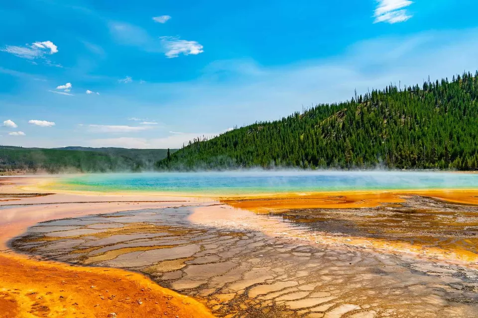 Photo of Yellowstone National Park, United States by Riyanka Roy