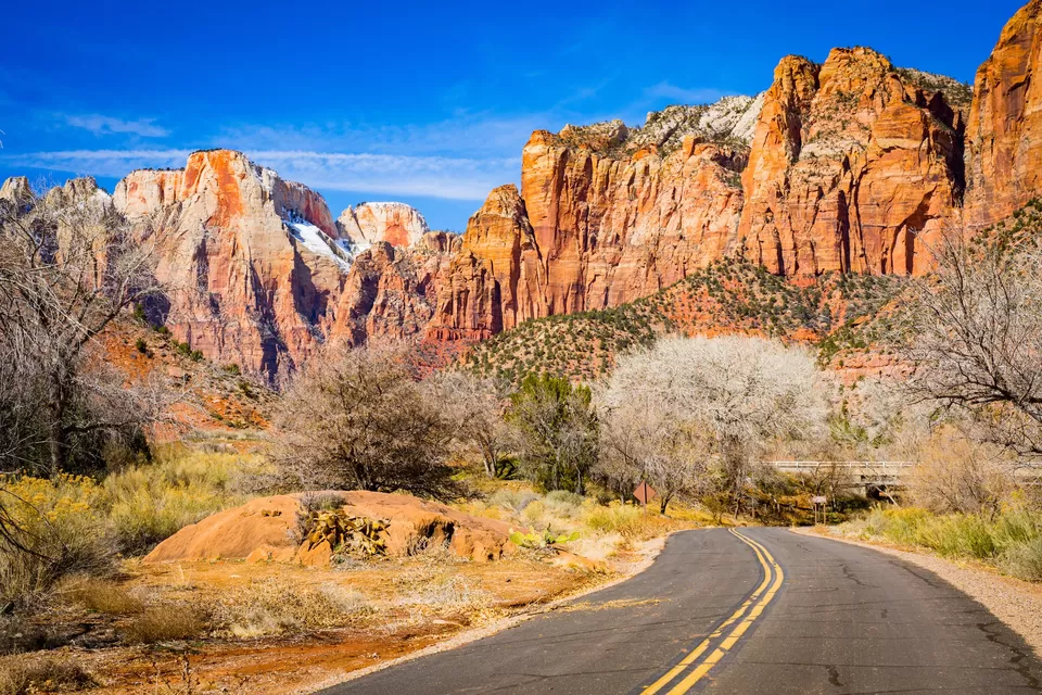 Photo of Zion National Park, Utah by Riyanka Roy