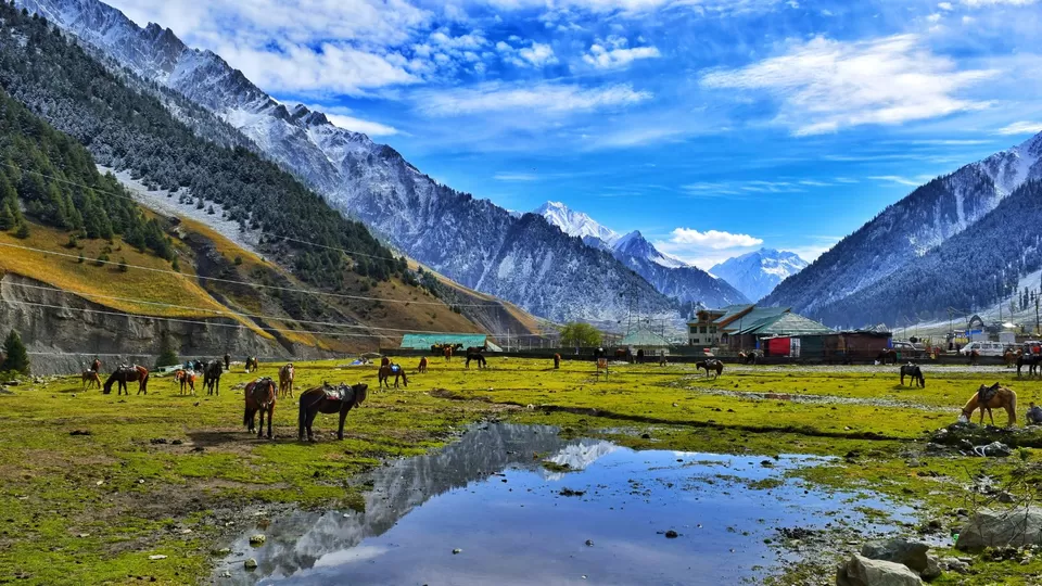 Photo of Beyond Nubra and Pangong, This Hidden Hamlet in Ladakh Must be on Your Travel Bucketlist by Riyanka Roy