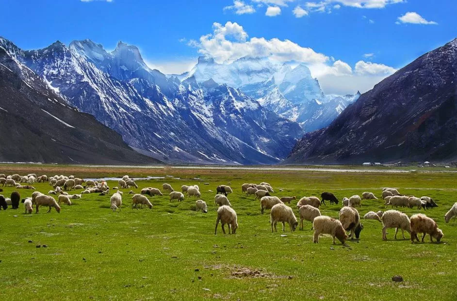 Photo of Beyond Nubra and Pangong, This Hidden Hamlet in Ladakh Must be on Your Travel Bucketlist by Riyanka Roy