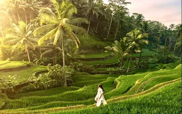 Photo of Ubud, Gianyar Regency by Riyanka Roy