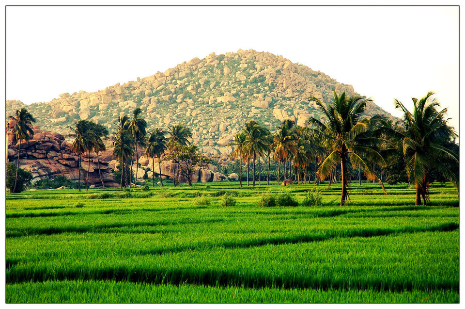 Photo of Hippie Island, Hampi: All You Need To Know by Bongyatri - Sourav and Anindita