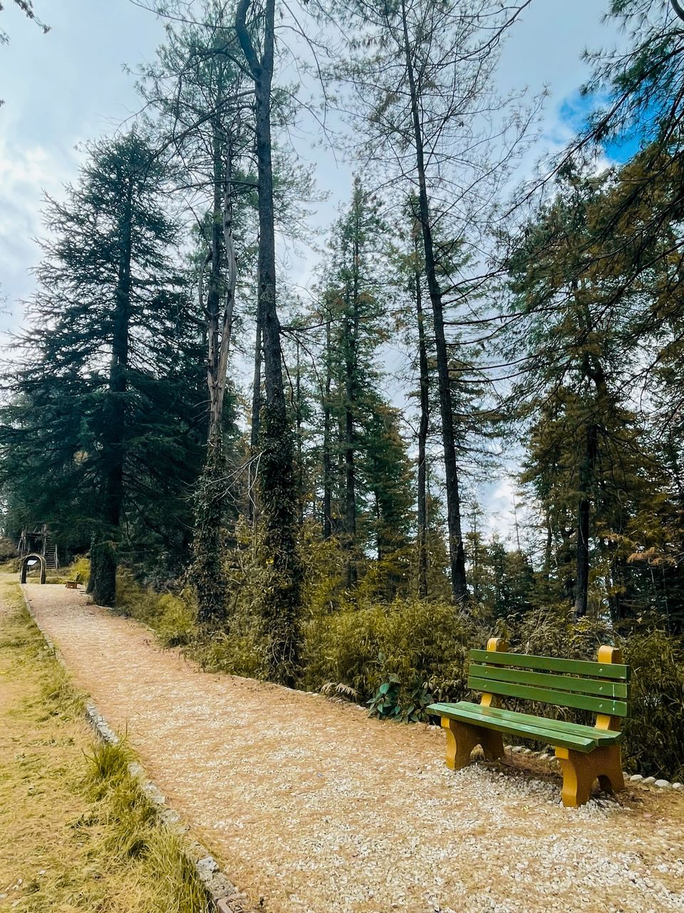 Photo of Mashobra, Shimla by Bongyatri - Sourav and Anindita