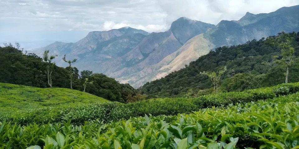 Photo of Top Station Munnar, Top Station by Bongyatri - Sourav and Anindita