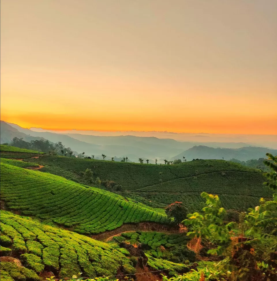 Photo of Pothamedu View Point, Idukki by Bongyatri - Sourav and Anindita