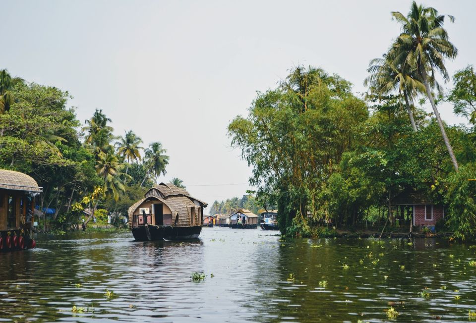 Photo of Want A Refreshing Vacation Amidst Nature? Here Is All You Need To Know About Alleppey Backwaters by Bongyatri - Sourav and Anindita