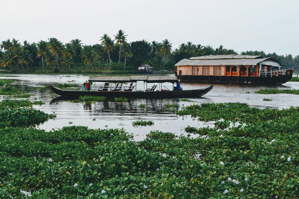 Photo of Want A Refreshing Vacation Amidst Nature? Here Is All You Need To Know About Alleppey Backwaters by Bongyatri - Sourav and Anindita