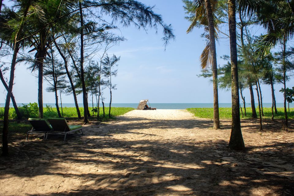 Photo of Want A Refreshing Vacation Amidst Nature? Here Is All You Need To Know About Alleppey Backwaters by Bongyatri - Sourav and Anindita