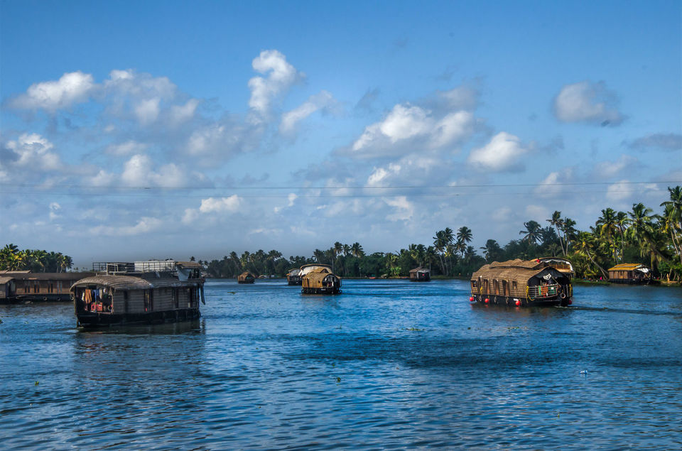 Photo of Want A Refreshing Vacation Amidst Nature? Here Is All You Need To Know About Alleppey Backwaters by Bongyatri - Sourav and Anindita