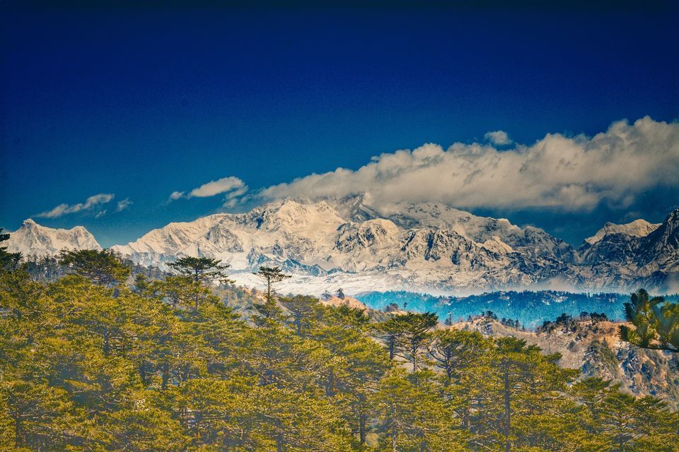 Photo of Singalila National Park, Singalila Forest by Bongyatri - Sourav and Anindita