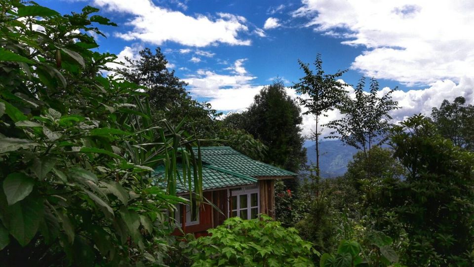 Photo of Borong, Ravangla by Bongyatri - Sourav and Anindita