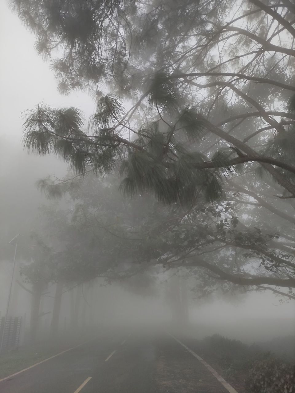 Photo of Netarhat, Latehar by Kanj Saurav