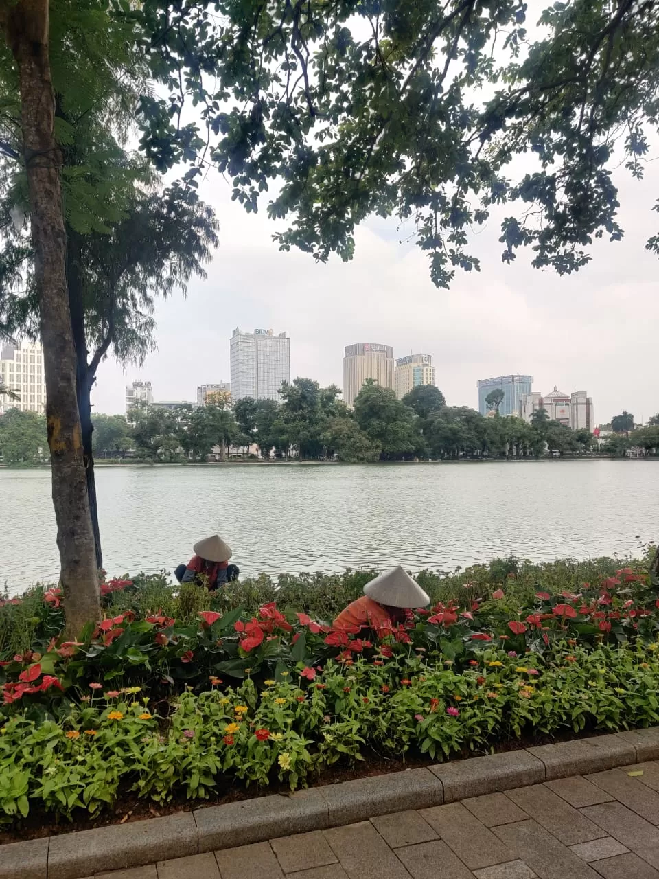 Photo of The Ultimate 24-Hour Hanoi Guide: Coffee, Chaos, and Culture (without tourist traps) by The_Budget_Backpacker