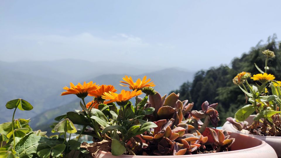 Photo of Pin Bhabha Trek: Know Everything before going. by PANKAJ KUMAR