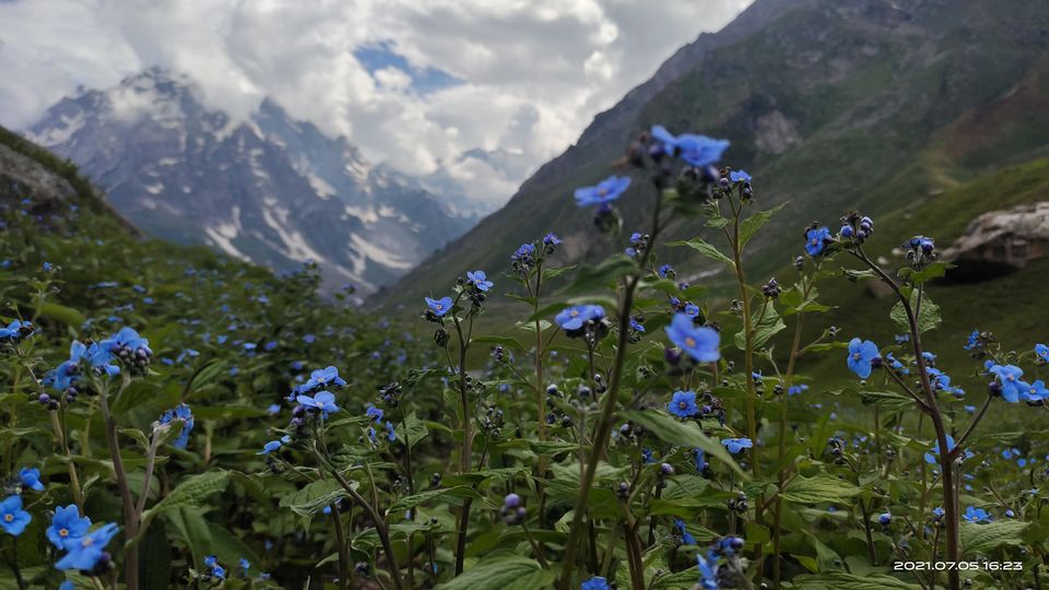 Photo of Pin Bhabha Trek: Know Everything before going. by PANKAJ KUMAR