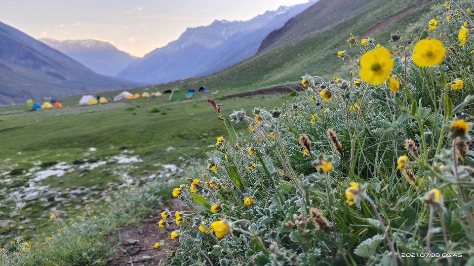 Photo of Pin Bhabha Trek: Know Everything before going. by PANKAJ KUMAR
