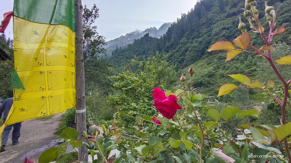 Photo of Pin Bhabha Trek: Know Everything before going. by PANKAJ KUMAR