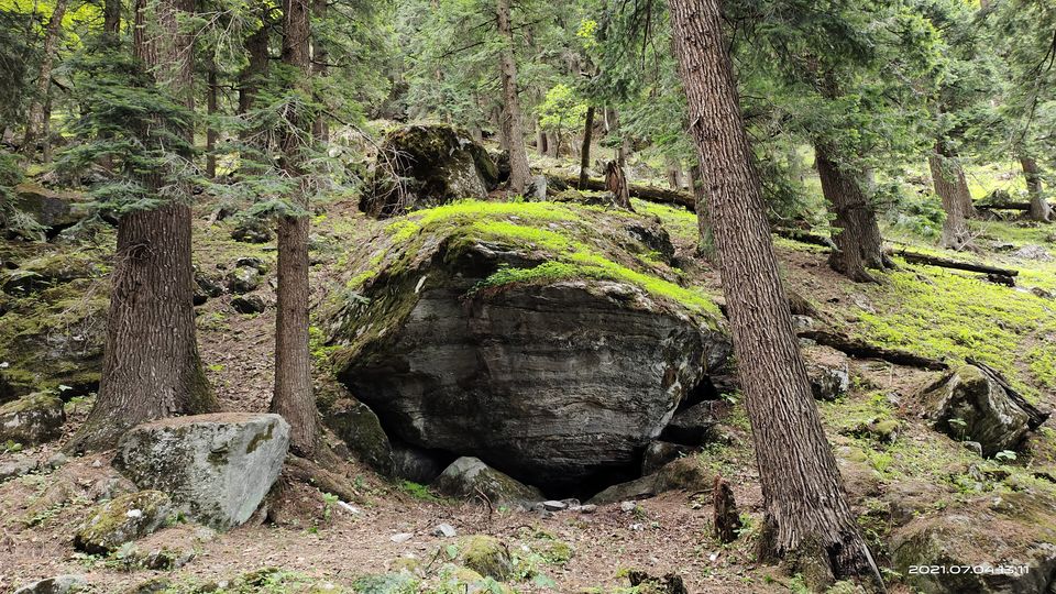 Photo of Pin Bhabha Trek: Know Everything before going. by PANKAJ KUMAR