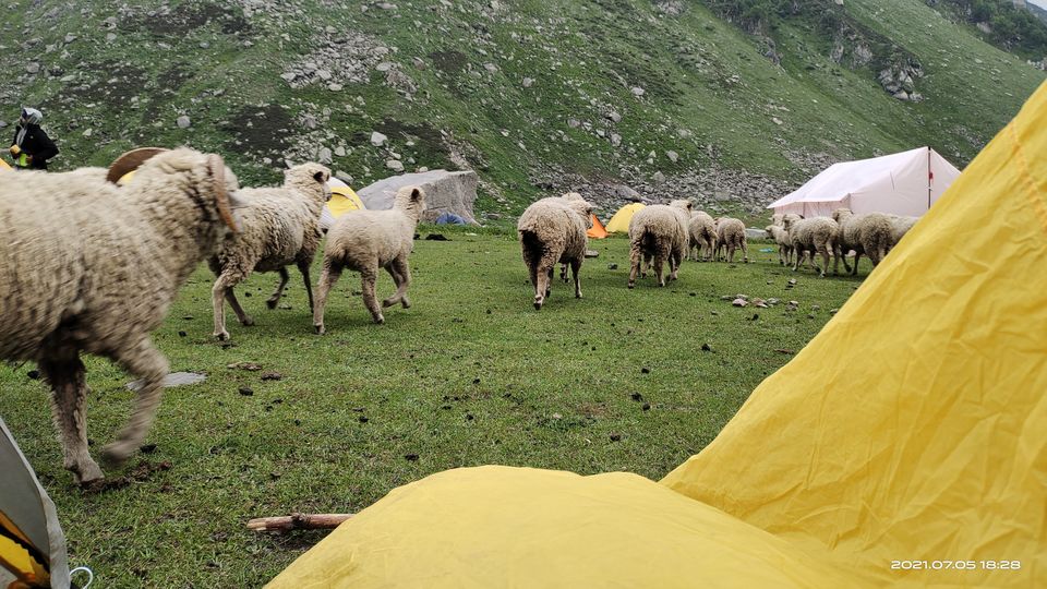 Photo of Pin Bhabha Trek: Know Everything before going. by PANKAJ KUMAR