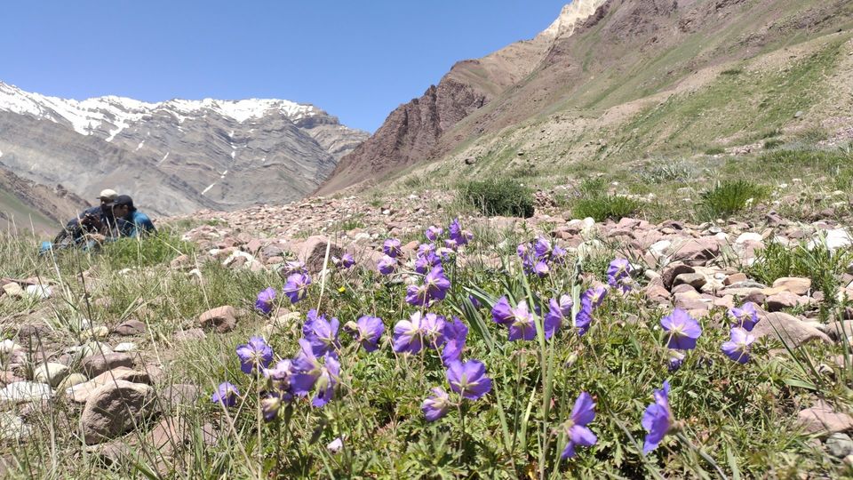 Photo of Pin Bhabha Trek: Know Everything before going. by PANKAJ KUMAR