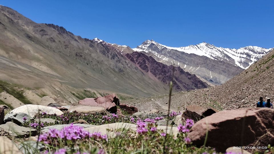 Photo of Pin Bhabha Trek: Know Everything before going. by PANKAJ KUMAR