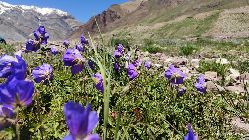 Photo of Pin Bhabha Trek: Know Everything before going. by PANKAJ KUMAR