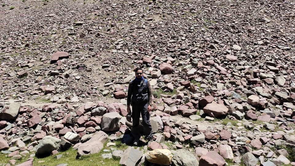 Photo of Pin Bhabha Trek: Know Everything before going. by PANKAJ KUMAR