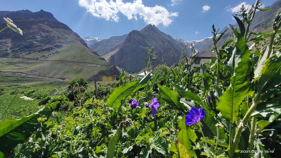 Photo of Pin Bhabha Trek: Know Everything before going. by PANKAJ KUMAR