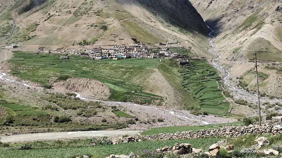 Photo of Pin Bhabha Trek: Know Everything before going. by PANKAJ KUMAR