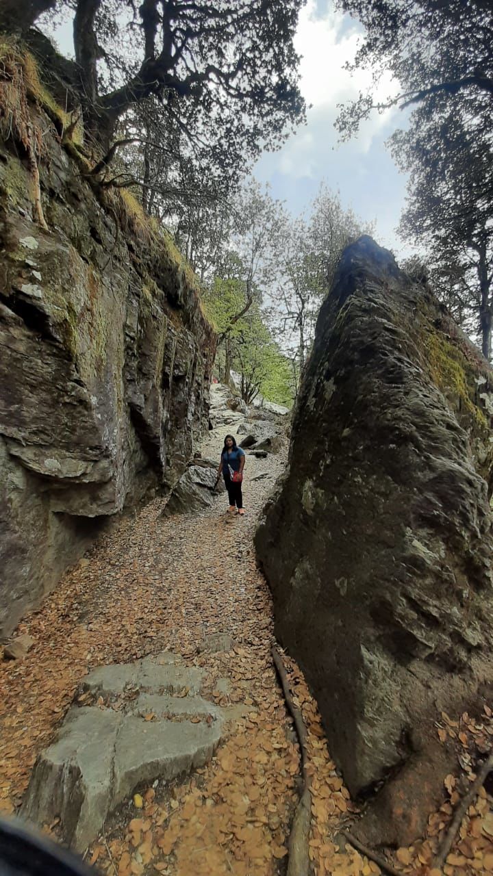 Photo of Banjar valley Trails!! by shikhar