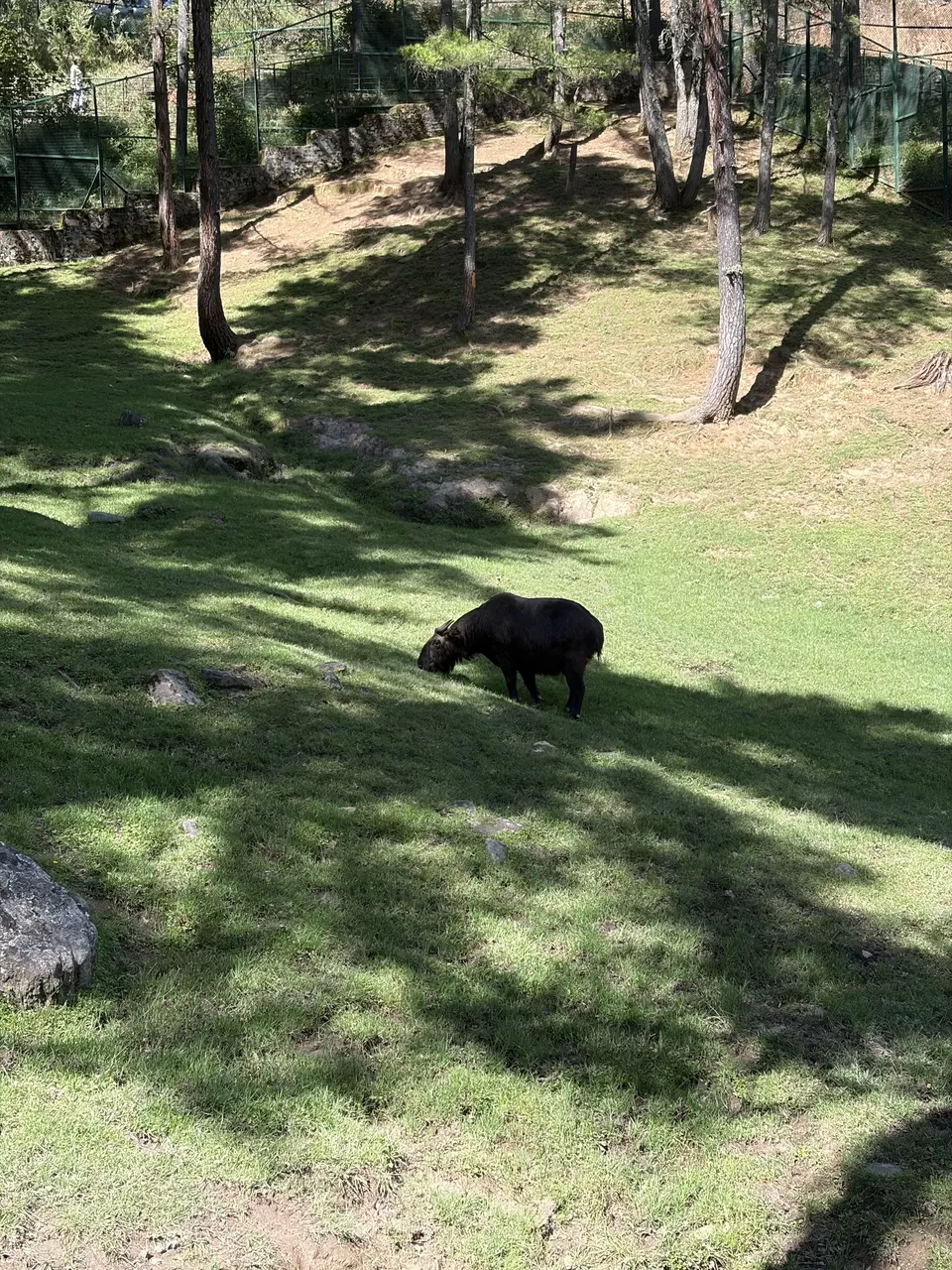 Photo of Never Go to Bhutan- You'll leave a part of yourself behind by Dr. Dhrubajyoti Sen