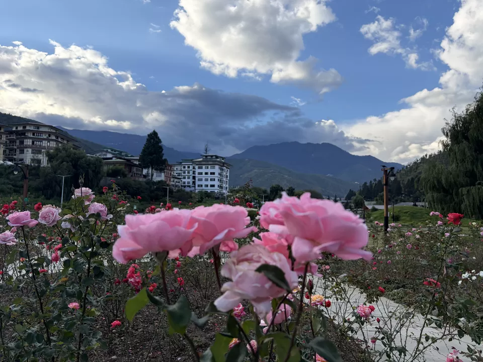 Photo of Never Go to Bhutan- You'll leave a part of yourself behind by Dr. Dhrubajyoti Sen