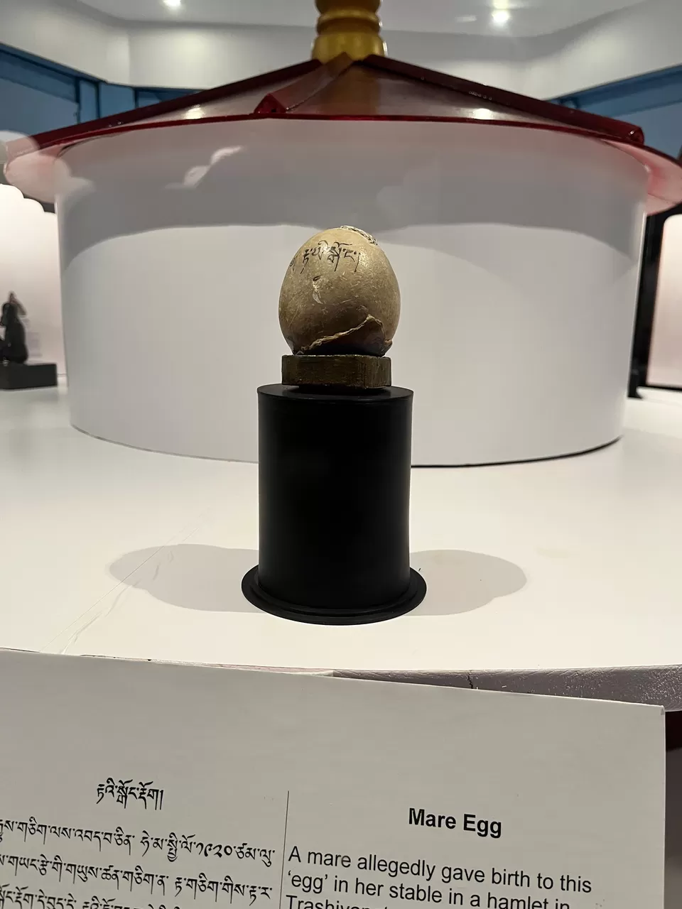 Photo of Never Go to Bhutan- You'll leave a part of yourself behind by Dr. Dhrubajyoti Sen