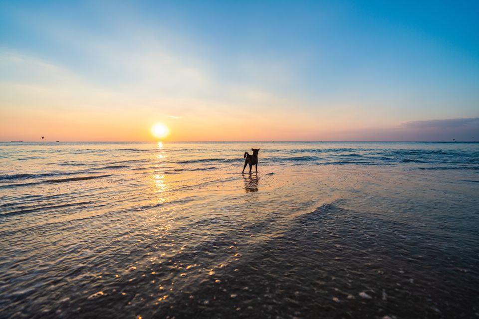 Photo of Bambolim Beach, Goa by Tripoto