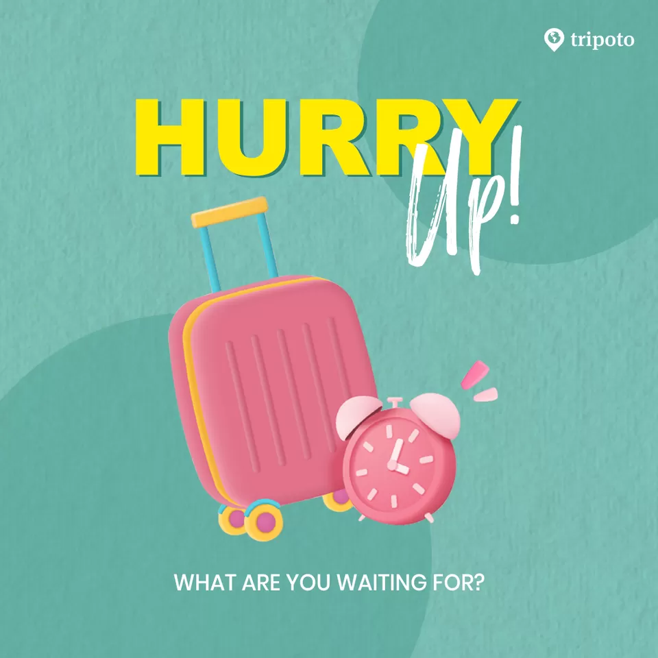 Photo of Participate in Tripoto's Creator Of The Month contest and stand a chance to TRAVEL FOR FREE by Tripoto