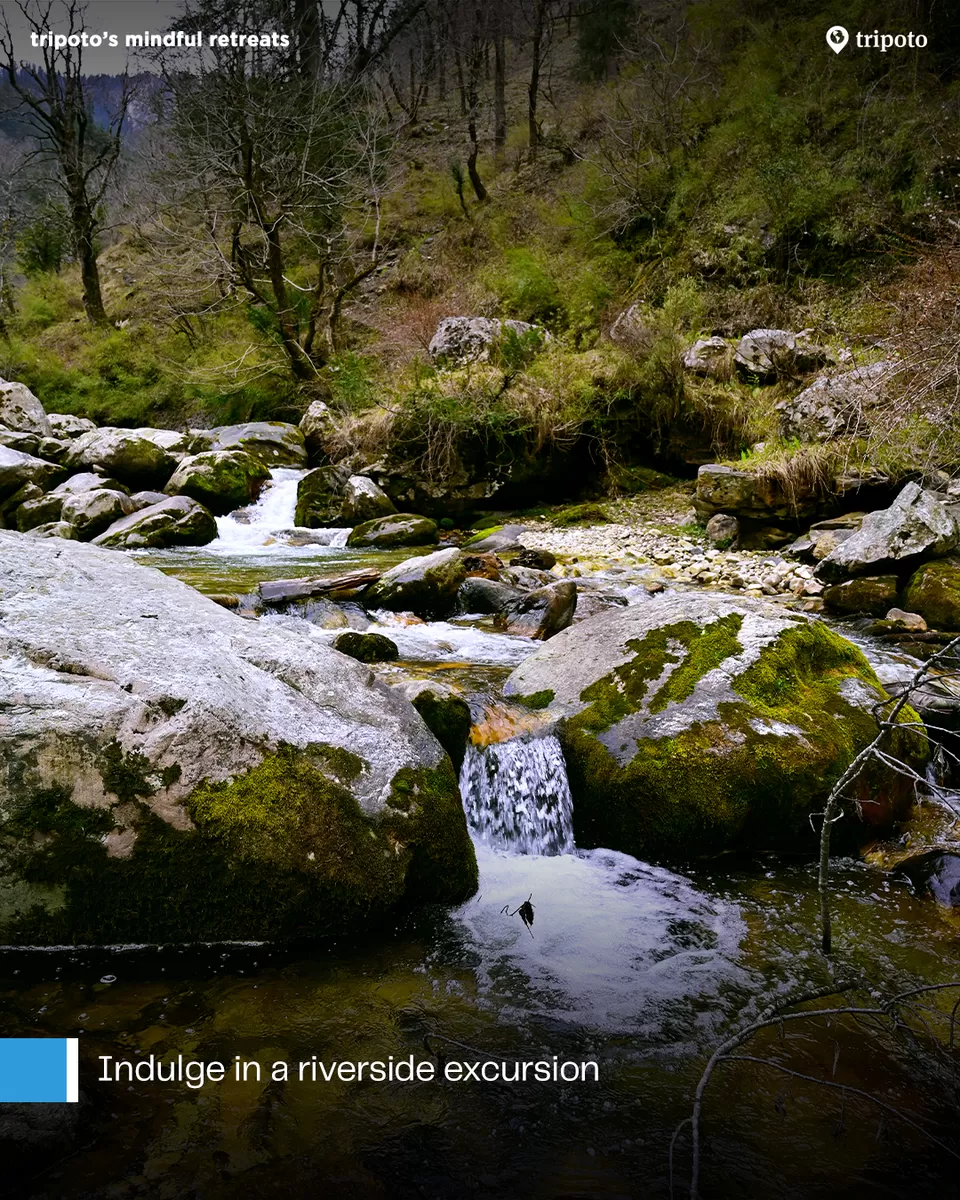 ✅ Inclusive or stay, meals and activities