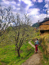 Photo of Jibhi – Where the Soul meets Body! by hippiegoluckyme