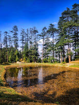 Photo of Jibhi – Where the Soul meets Body! by hippiegoluckyme