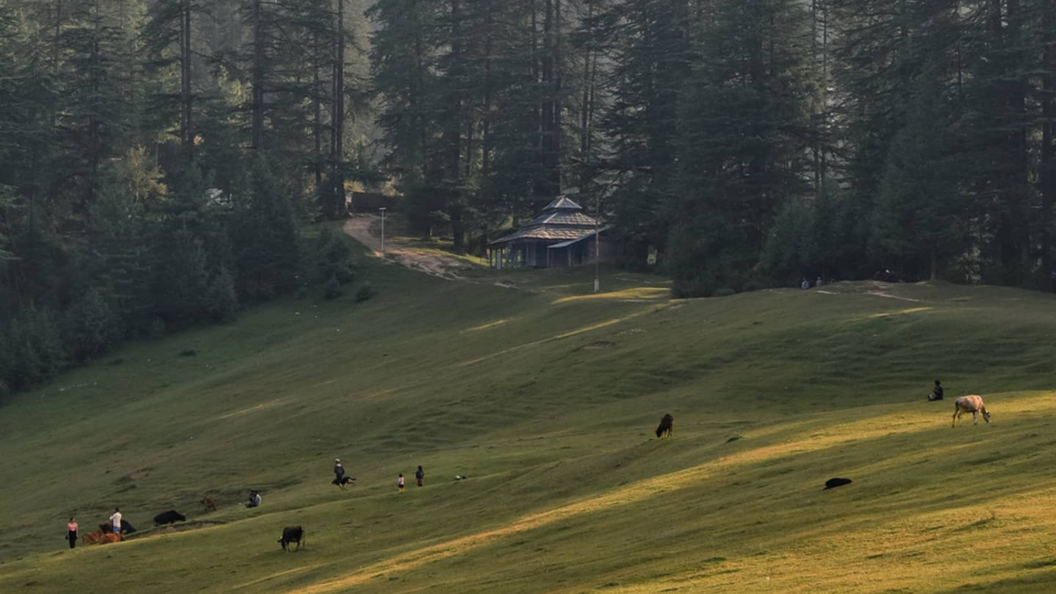 Photo of 2 hours from Jibhi, this Hostel is one of the best in Himachal by amrit singhal