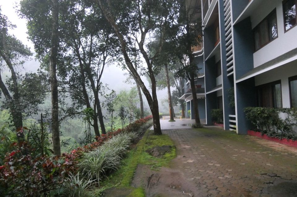 Photo of Hill Station, Beach, Backwaters, Forests and City Sights - All In Just Ten Days In God's Own Country by Rupa Abdi