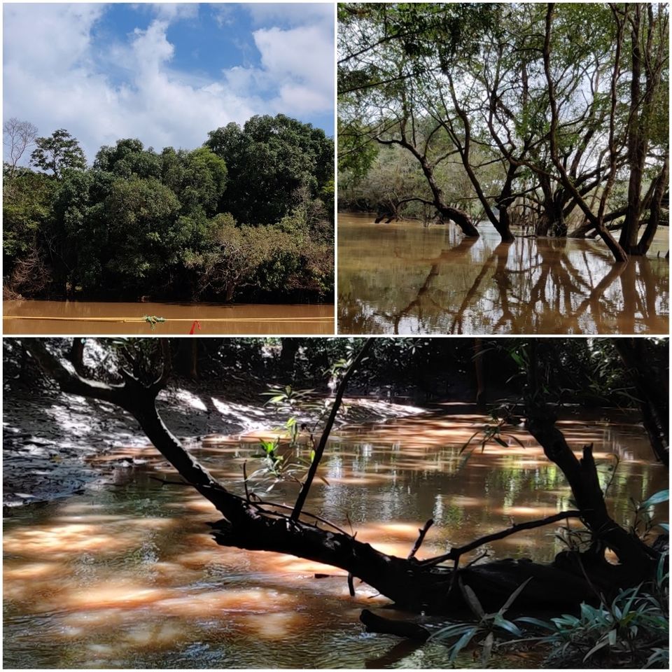 Photo of Hill Station, Beach, Backwaters, Forests and City Sights - All In Just Ten Days In God's Own Country by Rupa Abdi