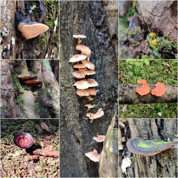 Photo of Hill Station, Beach, Backwaters, Forests and City Sights - All In Just Ten Days In God's Own Country by Rupa Abdi