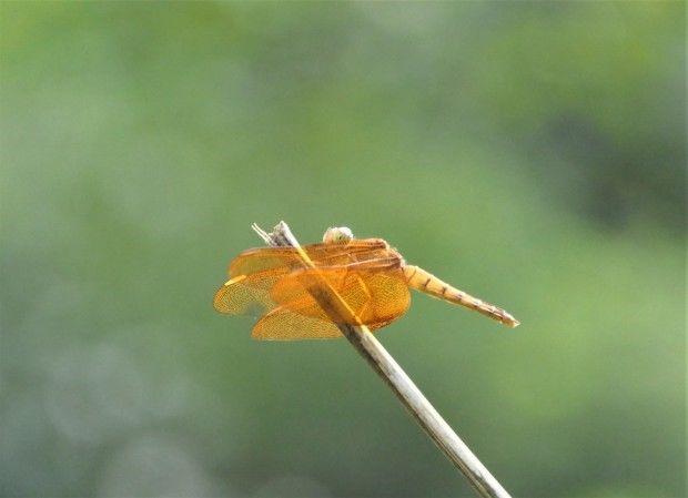 Photo of Hill Station, Beach, Backwaters, Forests and City Sights - All In Just Ten Days In God's Own Country by Rupa Abdi