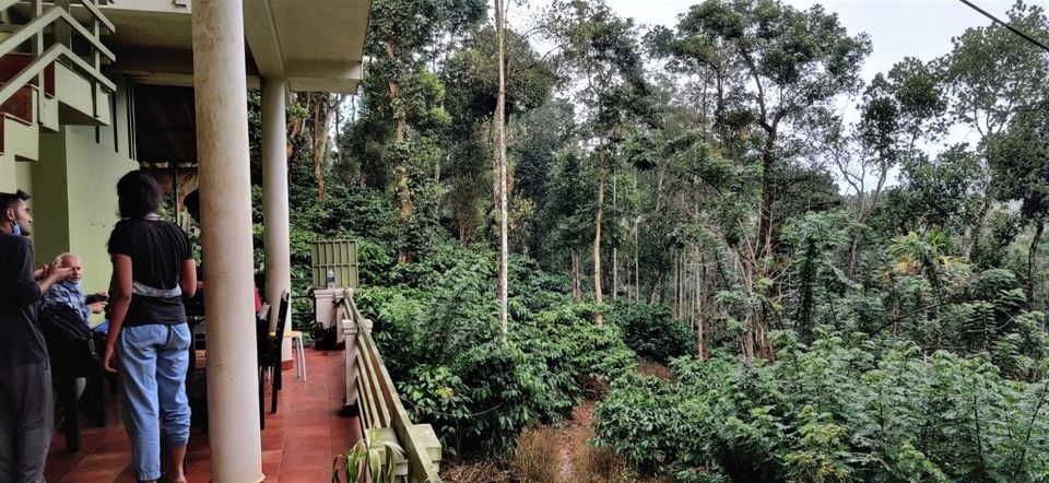 Photo of Hill Station, Beach, Backwaters, Forests and City Sights - All In Just Ten Days In God's Own Country by Rupa Abdi