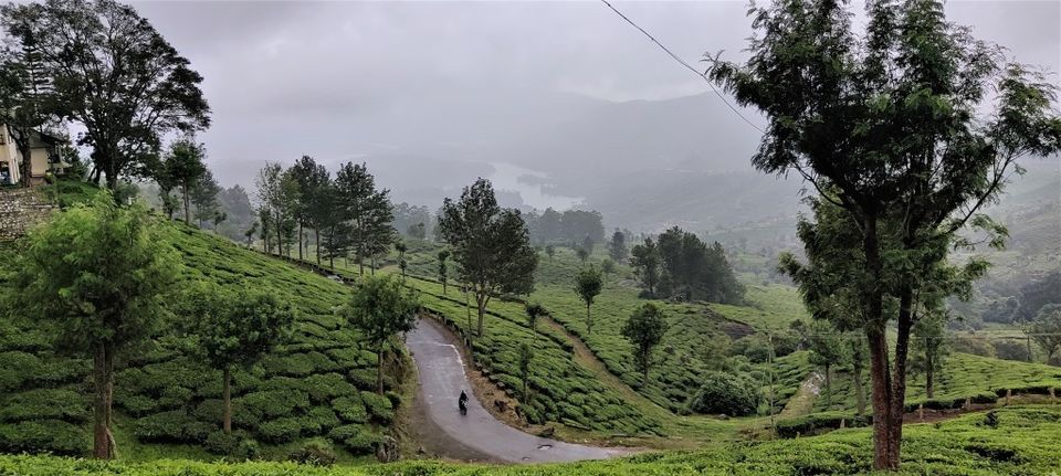 Photo of Hill Station, Beach, Backwaters, Forests and City Sights - All In Just Ten Days In God's Own Country by Rupa Abdi