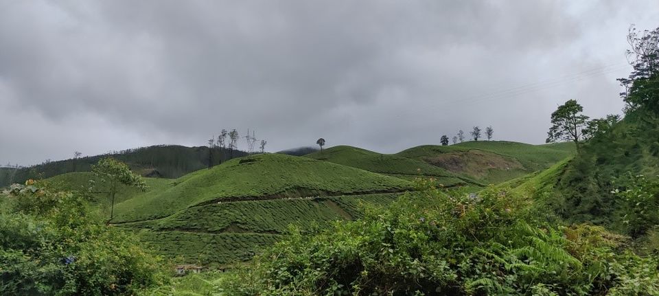 Photo of Hill Station, Beach, Backwaters, Forests and City Sights - All In Just Ten Days In God's Own Country by Rupa Abdi